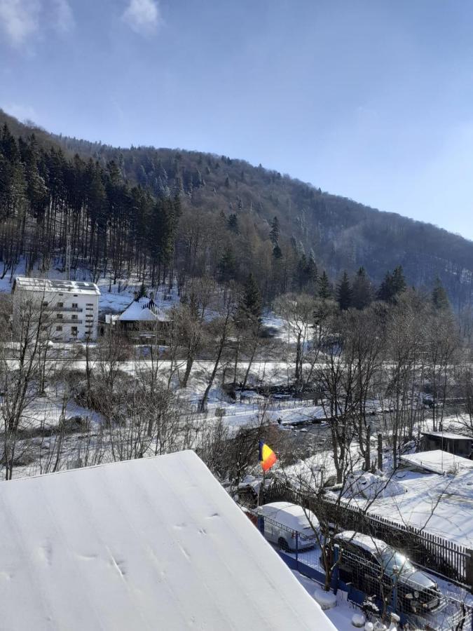 Hotel Casa Ryana Sinaia Zewnętrze zdjęcie
