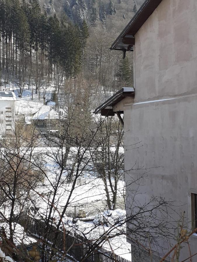 Hotel Casa Ryana Sinaia Zewnętrze zdjęcie