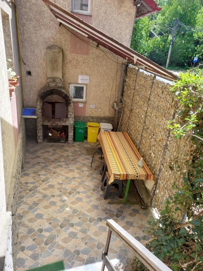 Hotel Casa Ryana Sinaia Zewnętrze zdjęcie
