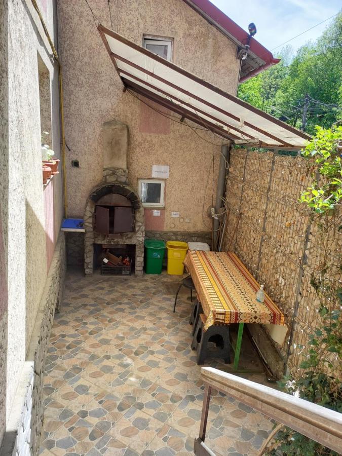 Hotel Casa Ryana Sinaia Zewnętrze zdjęcie