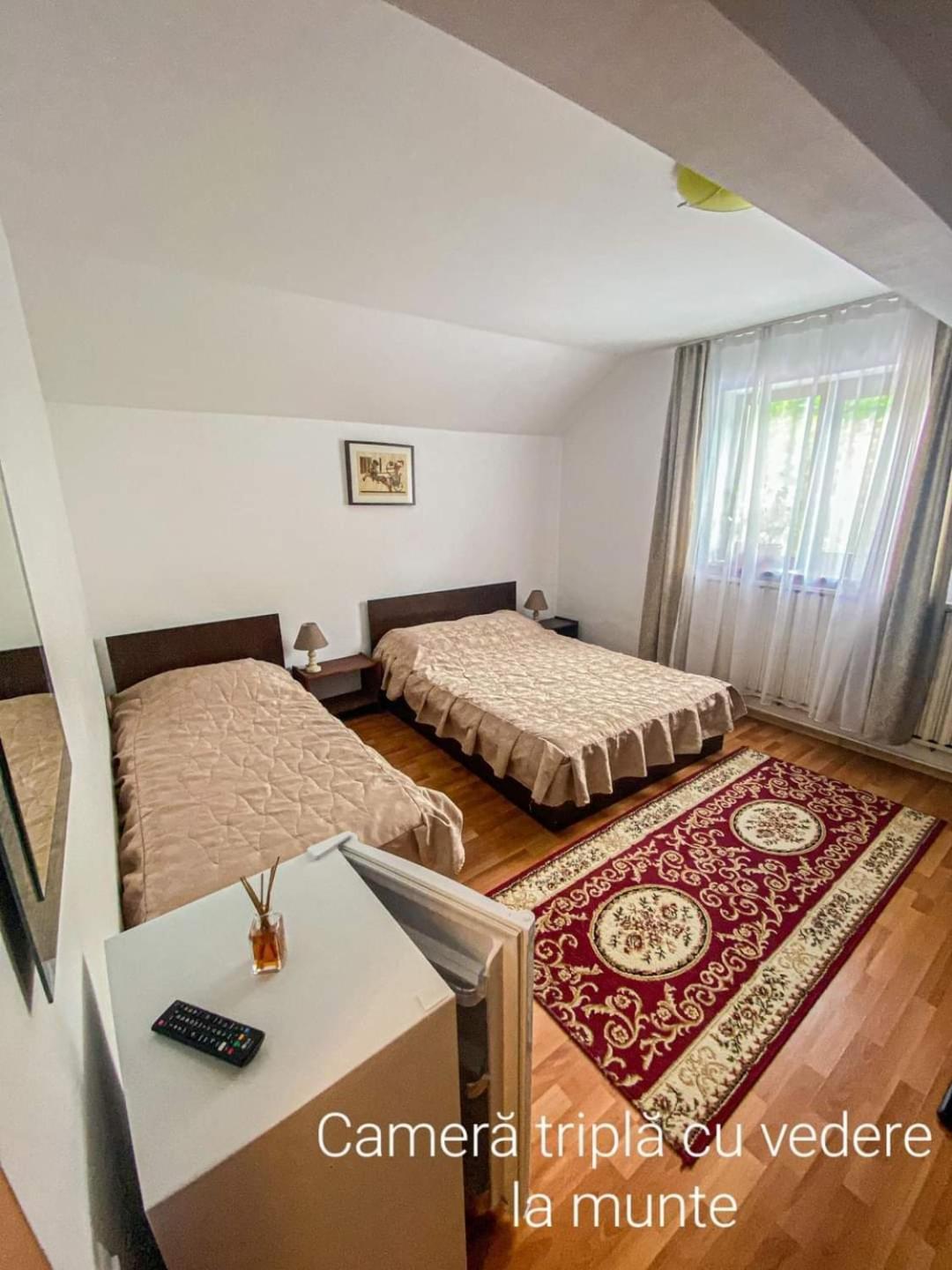 Hotel Casa Ryana Sinaia Zewnętrze zdjęcie