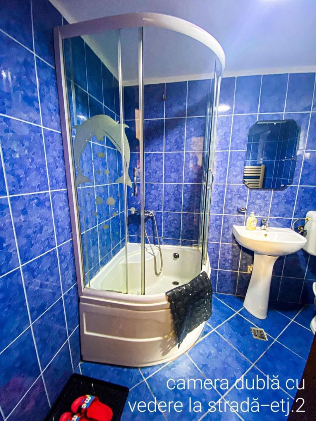 Hotel Casa Ryana Sinaia Zewnętrze zdjęcie