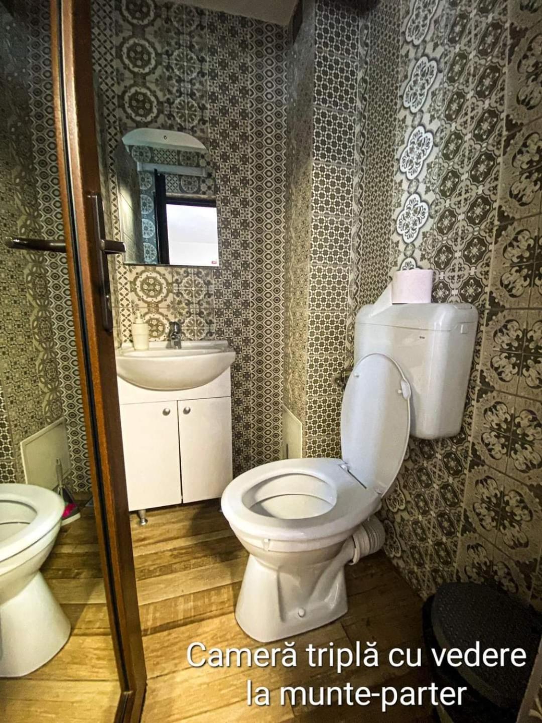 Hotel Casa Ryana Sinaia Zewnętrze zdjęcie