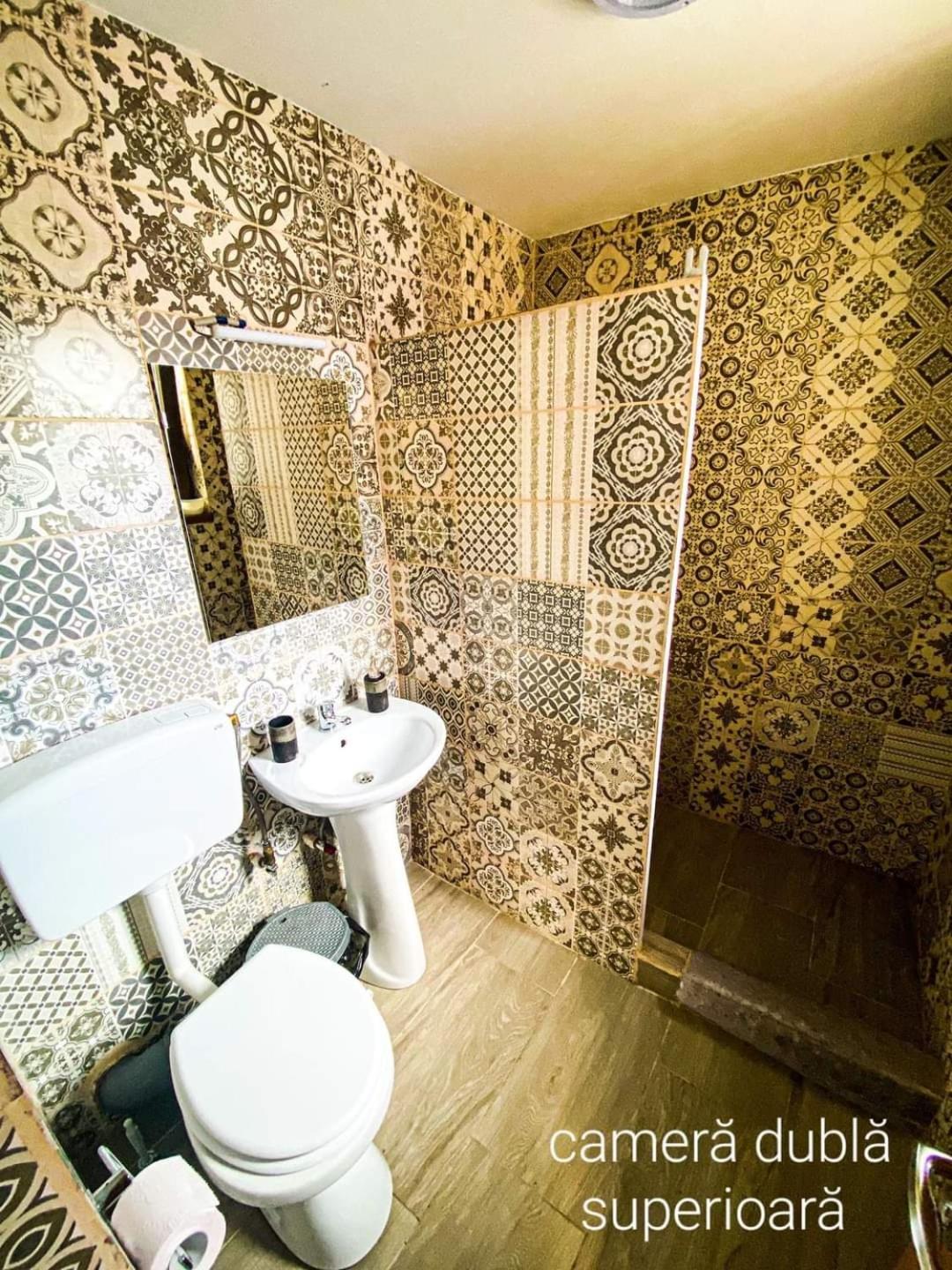 Hotel Casa Ryana Sinaia Zewnętrze zdjęcie