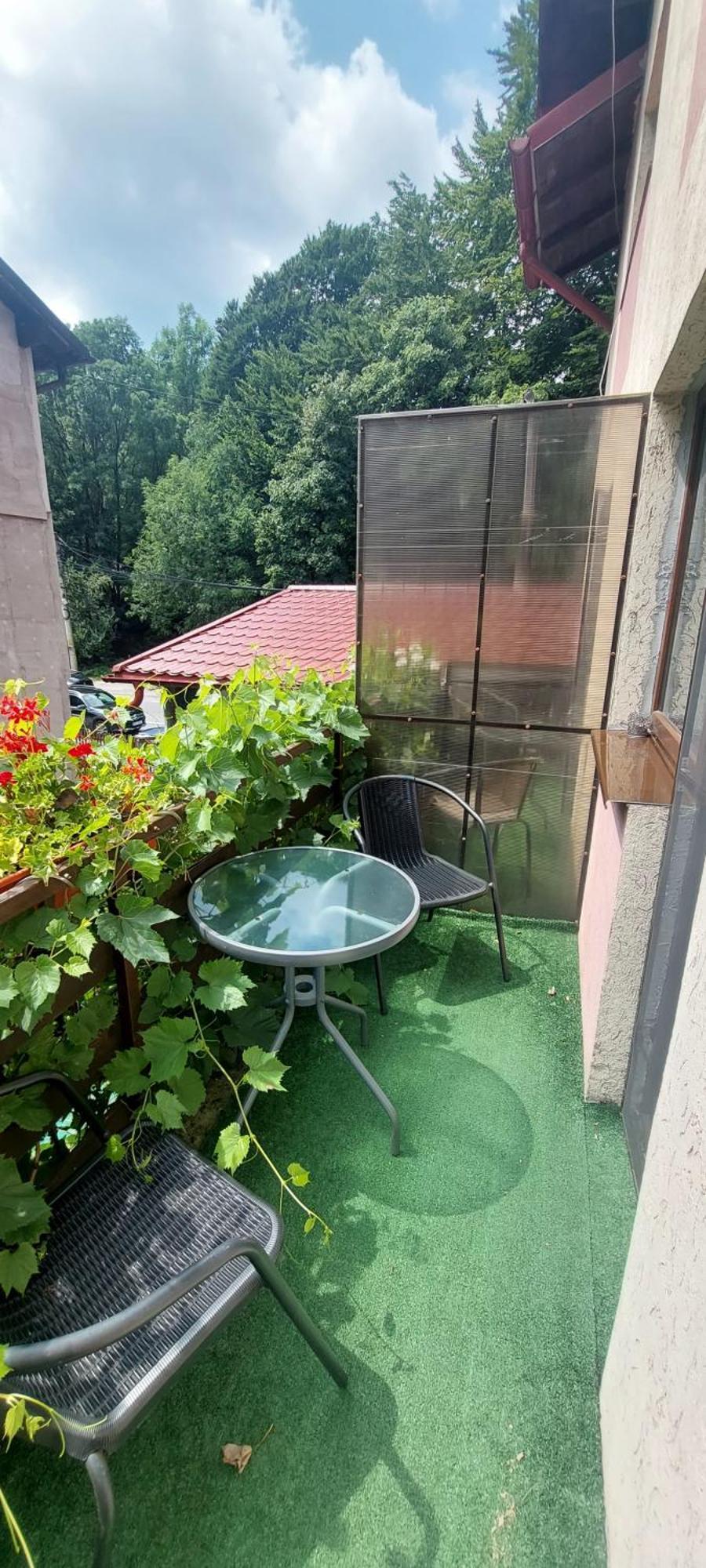 Hotel Casa Ryana Sinaia Zewnętrze zdjęcie