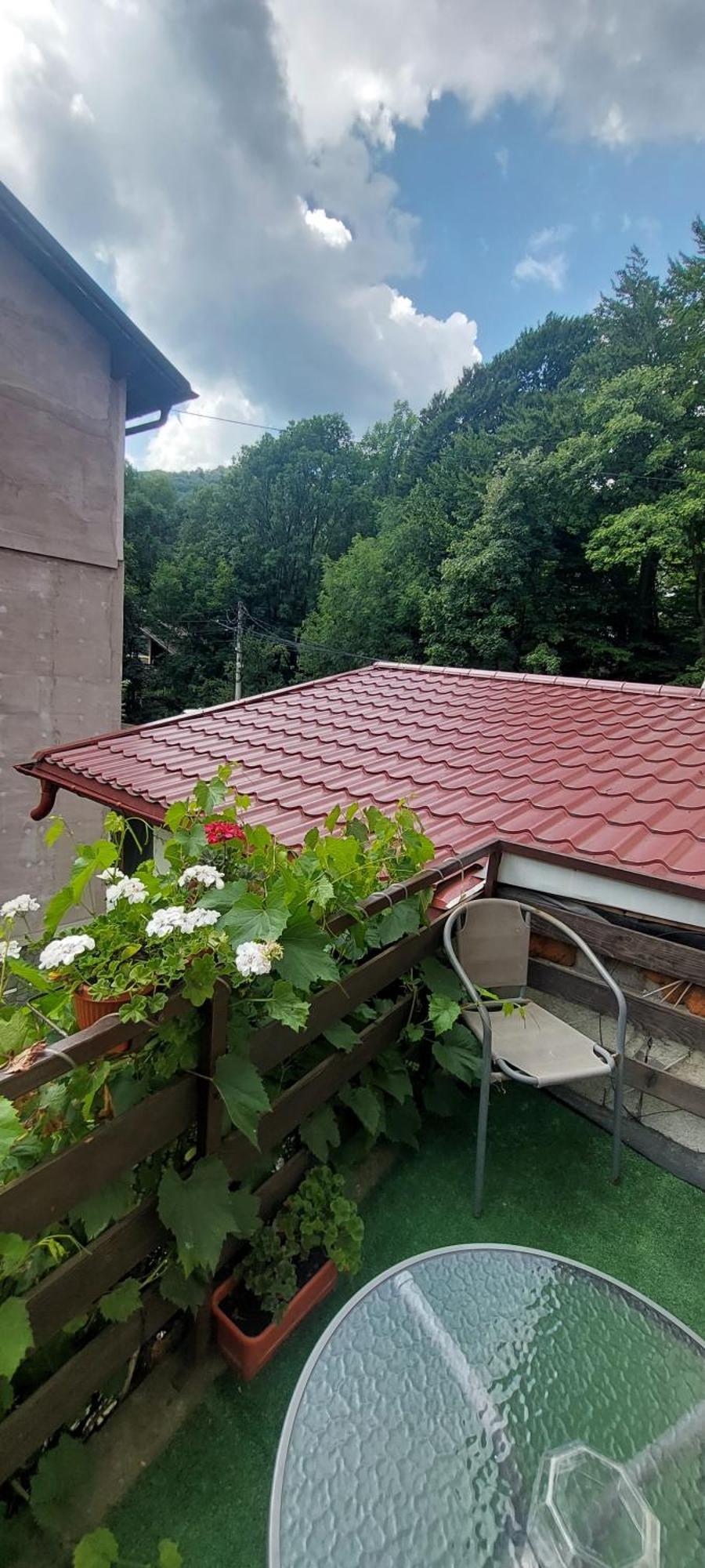 Hotel Casa Ryana Sinaia Zewnętrze zdjęcie