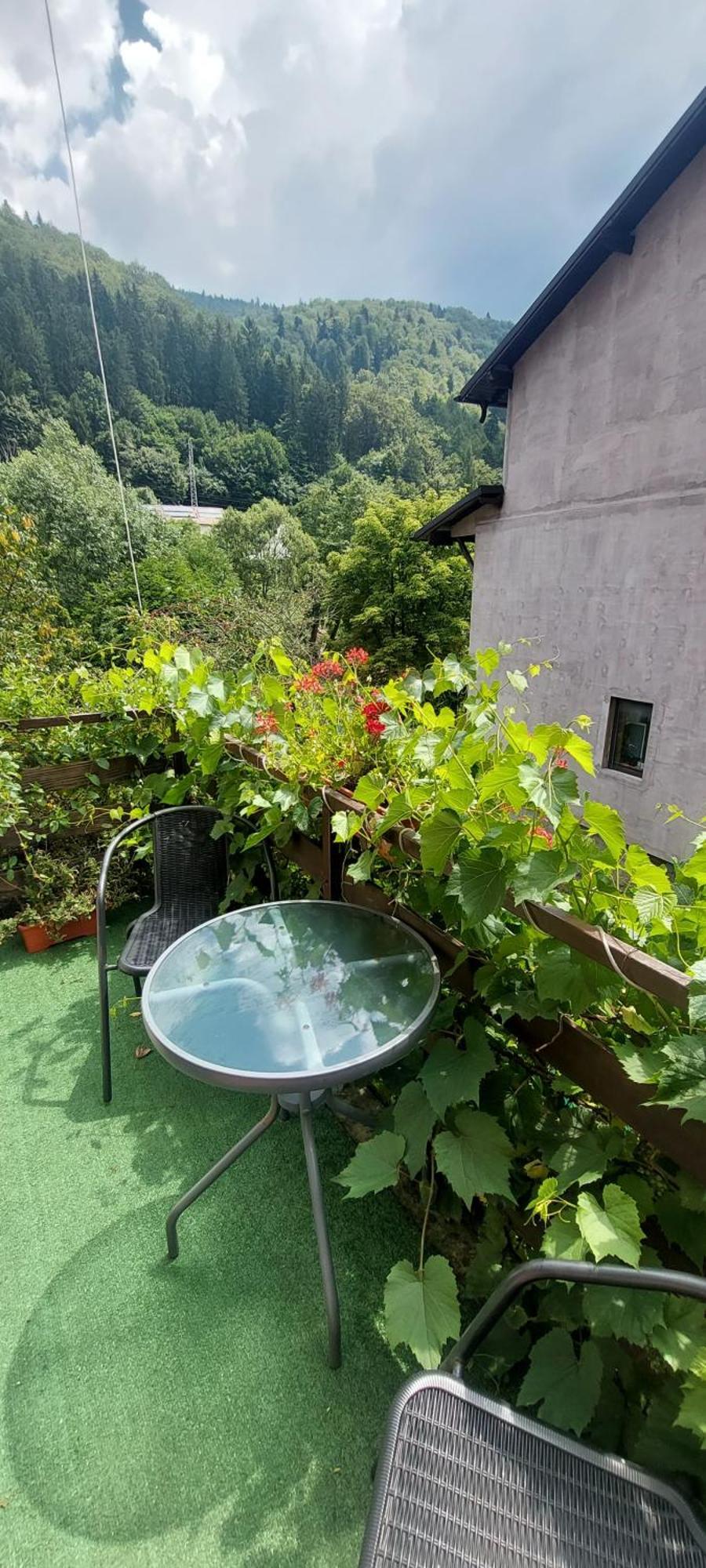 Hotel Casa Ryana Sinaia Zewnętrze zdjęcie