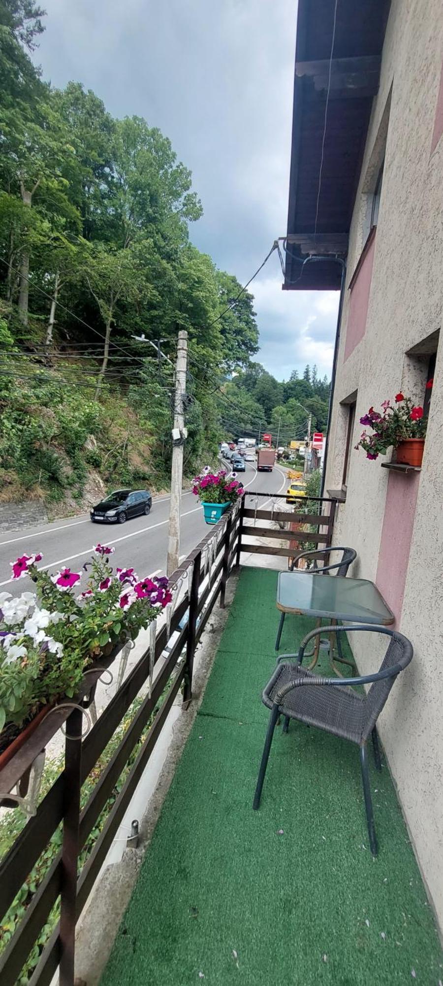 Hotel Casa Ryana Sinaia Zewnętrze zdjęcie